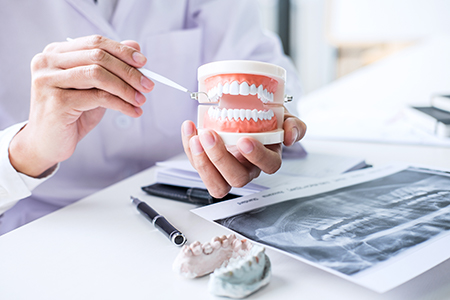 Seabreeze Dental